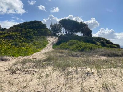 Informal access from caravan park to foreshore